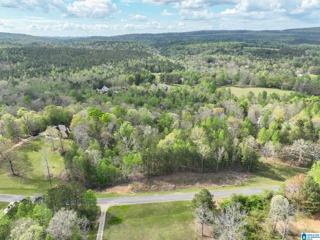 620 MOUNTAIN CREST DRIVE, Pell City, AL 35125