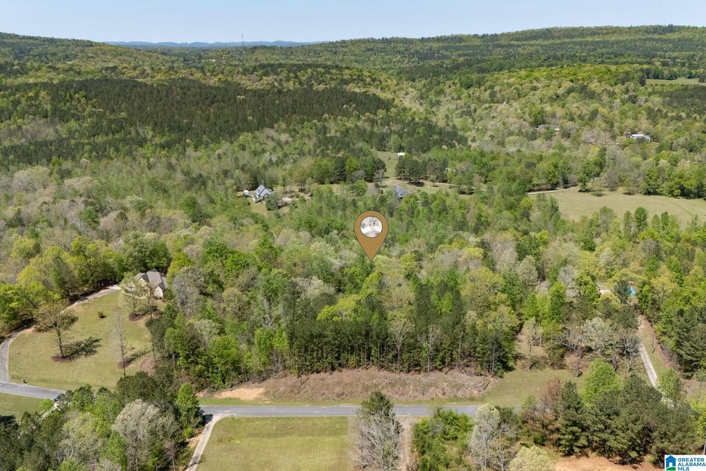 620 MOUNTAIN CREST DRIVE, Pell City, AL 35125