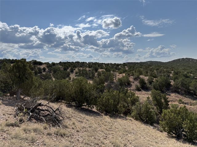 7 Placita Anita, Santa Fe, NM 87506