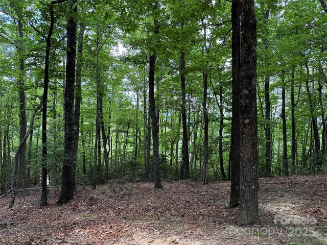 TBD Casey Mountain Road 215, Purlear, NC 28665
