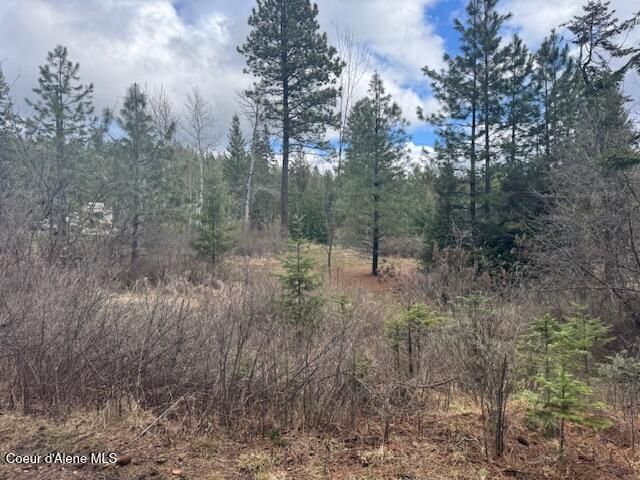 1015 N Fork Coon Creek Rd, St. Maries, ID 83861