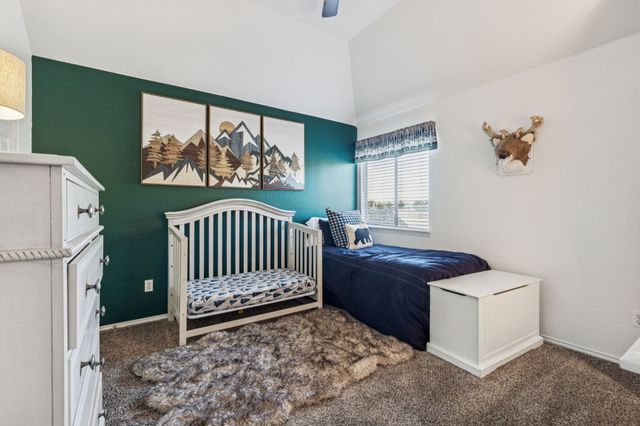 10217 Vintage Drive, Fort Worth, TX 76244