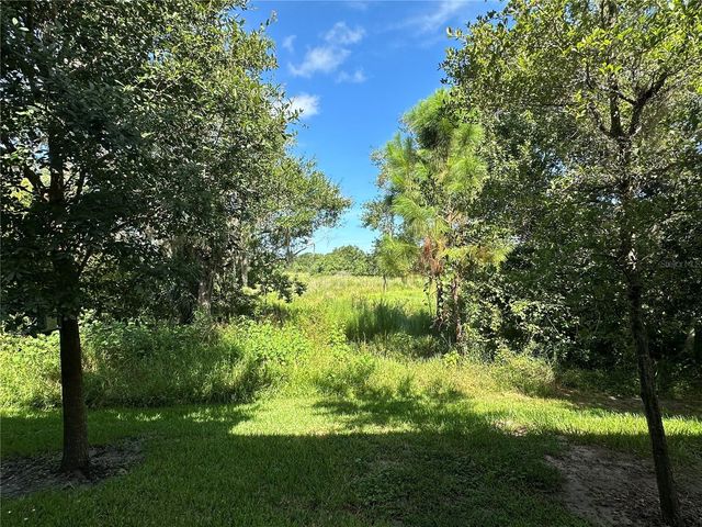 1389 WHITE FOX RUN, Lutz, FL 33549