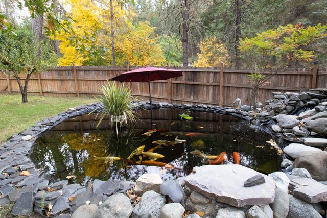 4184 E Evans Creek Road, Rogue River, OR 97537