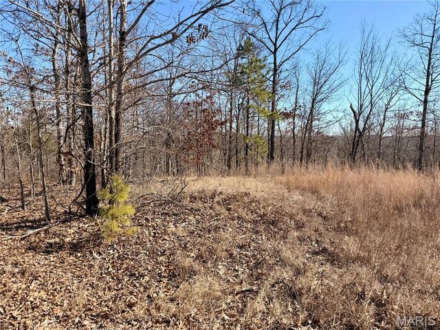 122A Madison CR 411, Fredericktown, MO 63645