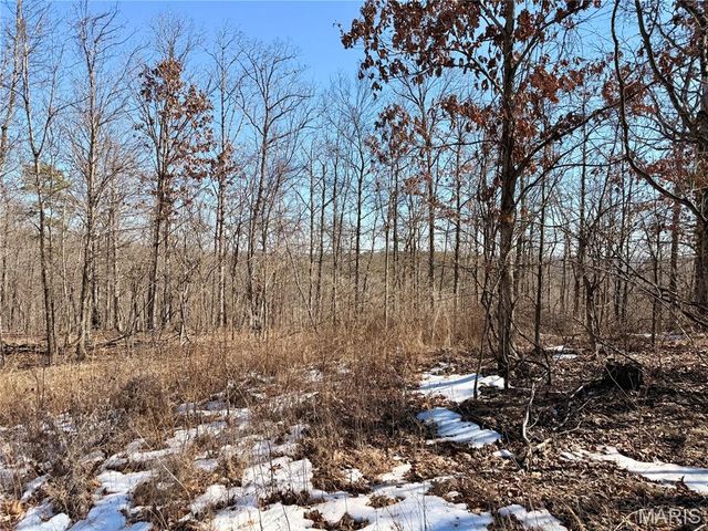 122A Madison CR 411, Fredericktown, MO 63645