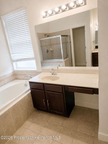5259 Greystone Drive, Spring Hill, FL 34609