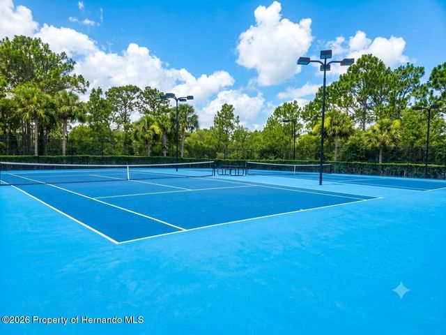 5259 Greystone Drive, Spring Hill, FL 34609
