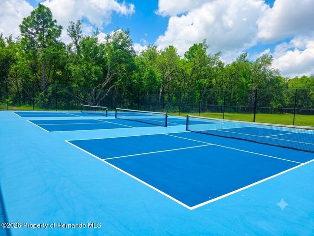 5259 Greystone Drive, Spring Hill, FL 34609