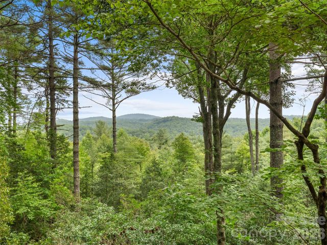 32 Uloque Court, Brevard, NC 28712