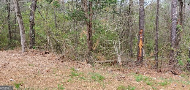 4662 Ridgeland Drive SW, Lilburn, GA 30047