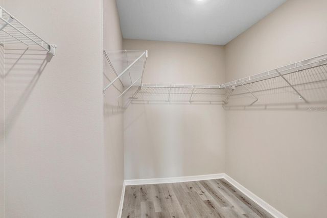 10256 CARLOWAY HILLS DRIVE, Wimauma, FL 33598