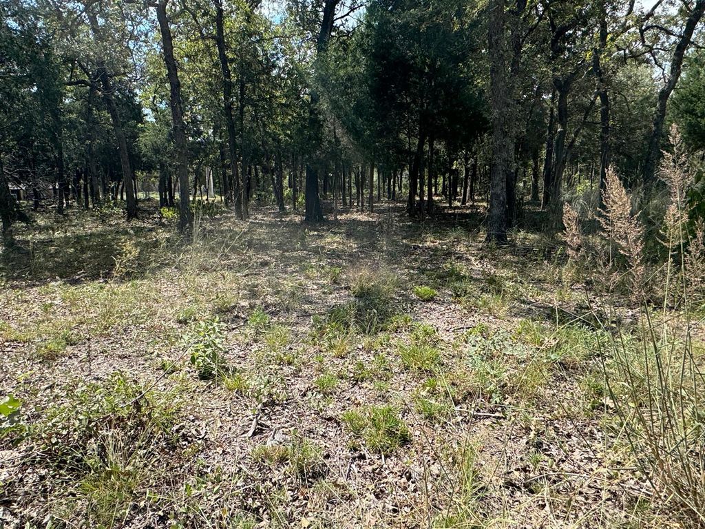 [Lot 2] 000 Jordan LN, Elgin, TX 78621