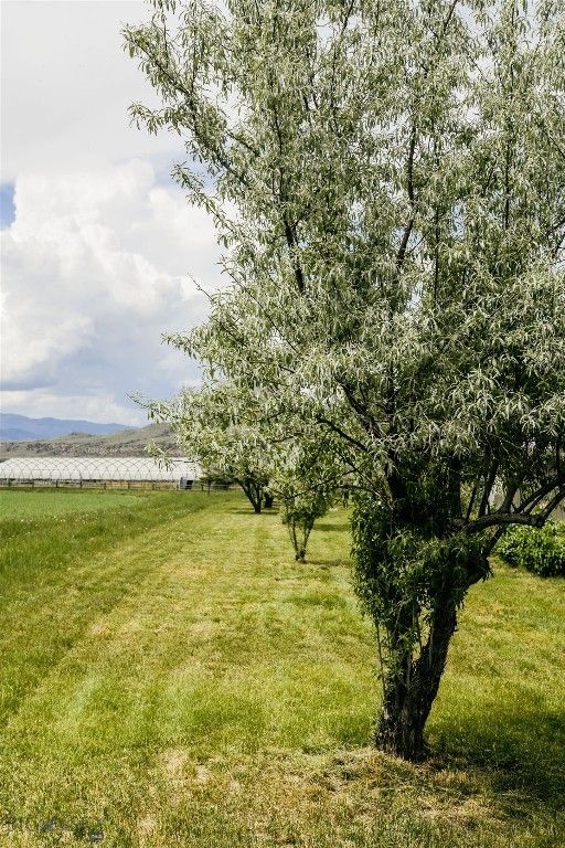 107 Mayflower Road, Whitehall, MT 59759 photo 18