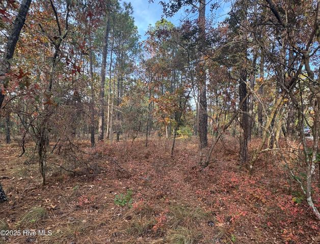 10209 Wildlife Drive SE, Leland, NC 28451