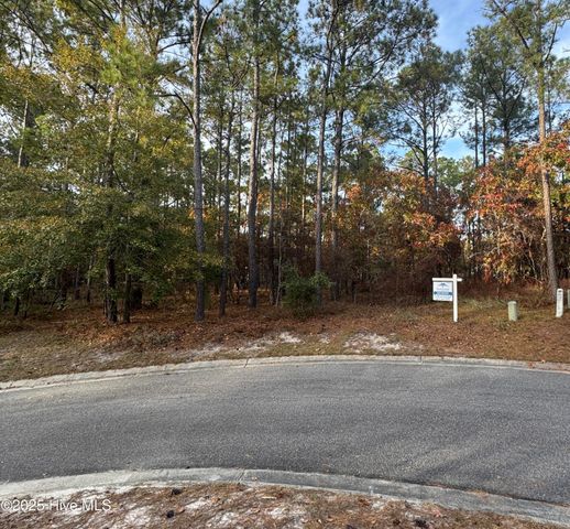 10209 Wildlife Drive SE, Leland, NC 28451
