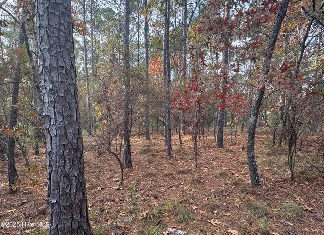 10209 Wildlife Drive SE, Leland, NC 28451