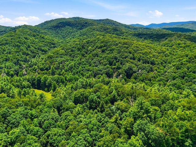 151 Hatchet Trail, Cherry Log, GA 30522