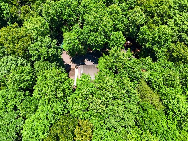 151 Hatchet Trail, Cherry Log, GA 30522