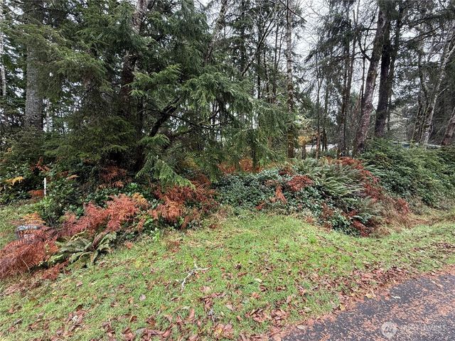 664 Chenois Avenue NE, Ocean Shores, WA 98569