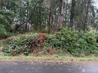 664 Chenois Avenue NE, Ocean Shores, WA 98569