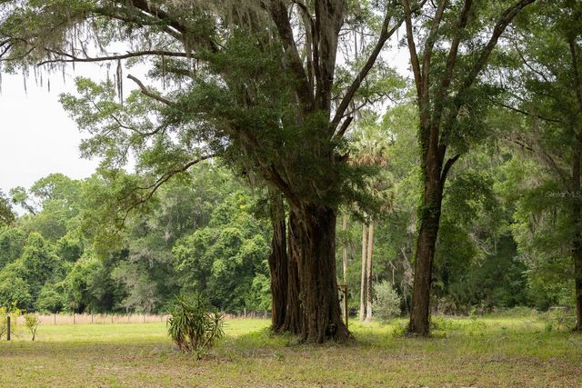 18833 NE 24TH AVENUE, Citra, FL 32113