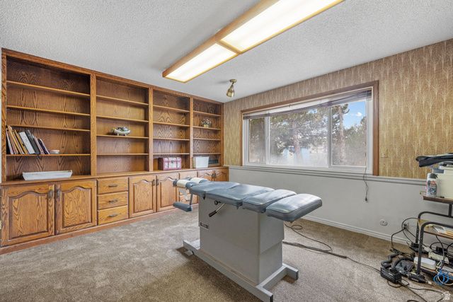 169 W 690 N, Santaquin, UT 84655