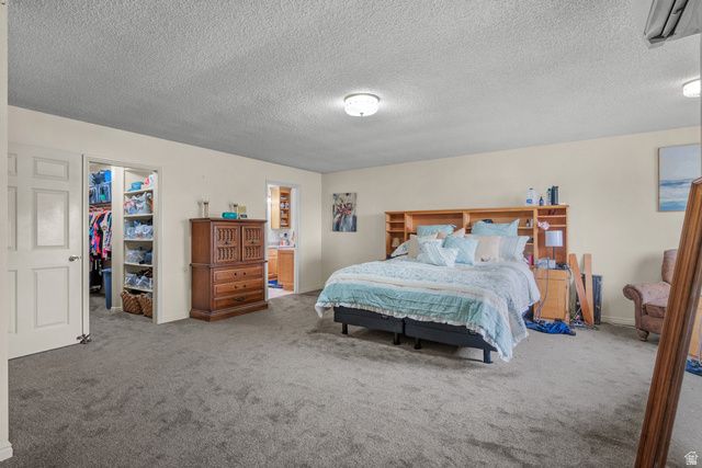 169 W 690 N, Santaquin, UT 84655