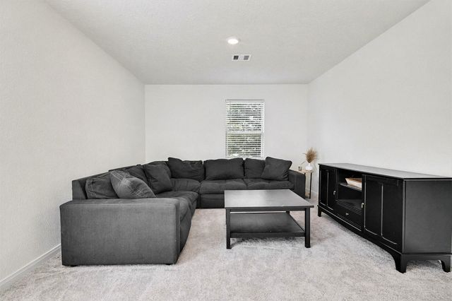 22303 Hawberry Blossom Lane, Tomball, TX 77377