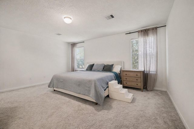 22303 Hawberry Blossom Lane, Tomball, TX 77377