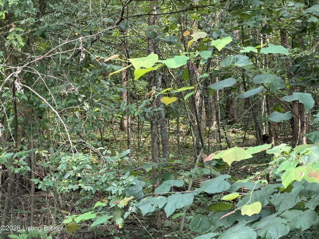 680 Hough Run Rd, Mt Washington, KY 40047