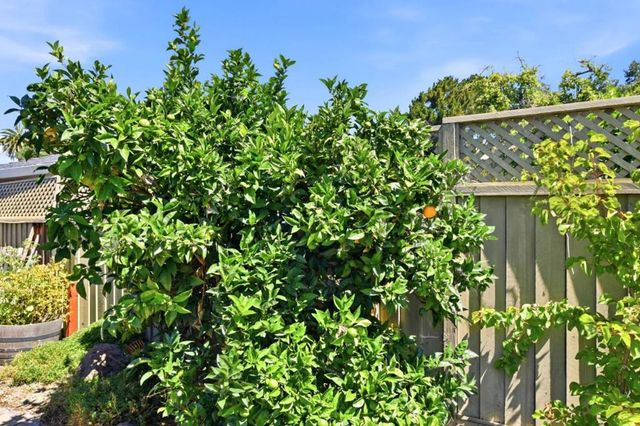 290 Hillview Drive, Fremont, CA 94536