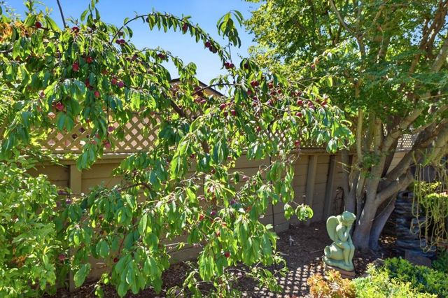 290 Hillview Drive, Fremont, CA 94536