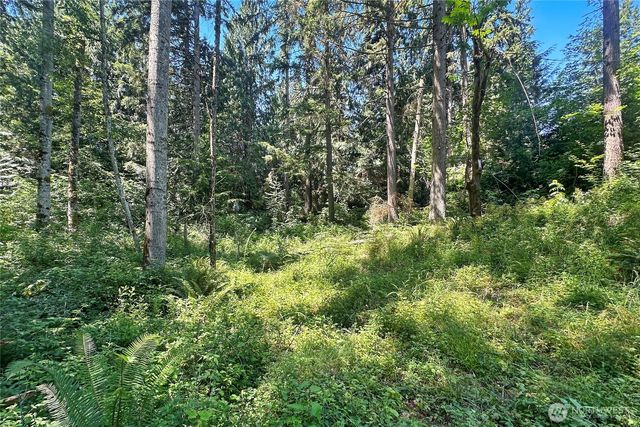 4302 W Tapps Drive E, Lake Tapps, WA 98391