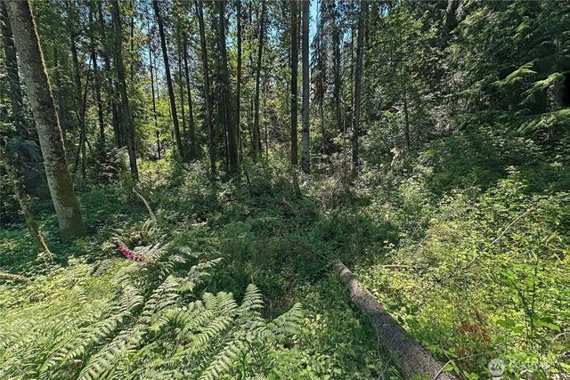 4302 W Tapps Drive E, Lake Tapps, WA 98391