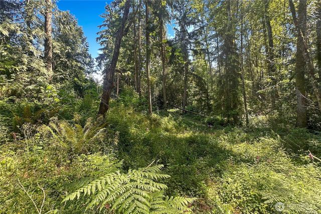 4302 W Tapps Drive E, Lake Tapps, WA 98391