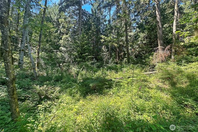 4302 W Tapps Drive E, Lake Tapps, WA 98391
