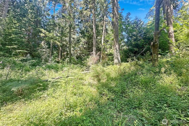 4302 W Tapps Drive E, Lake Tapps, WA 98391