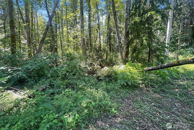 4302 W Tapps Drive E, Lake Tapps, WA 98391