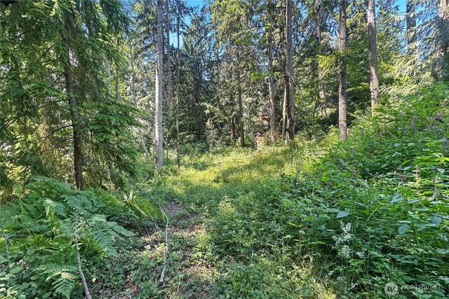 4302 W Tapps Drive E, Lake Tapps, WA 98391