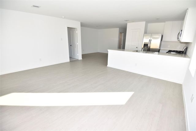 29030 Rolling Tundra Way, Hockley, TX 77447