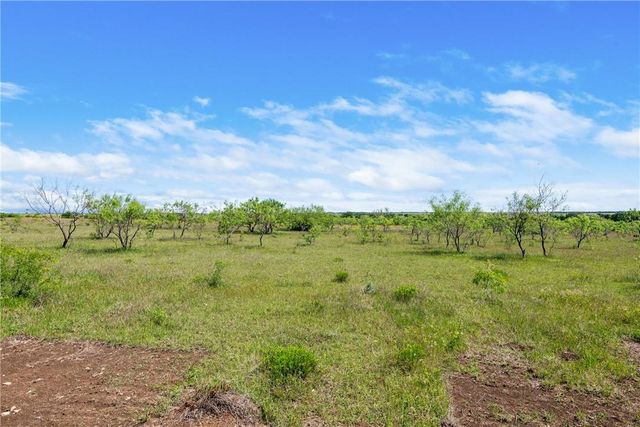 TBD County Road 276, Liberty Hill, TX 78605