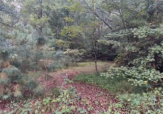.33 ac Central Hill RD, Windsor, VA 23487