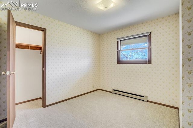 65 Yeoman Lane, Divide, CO 80814