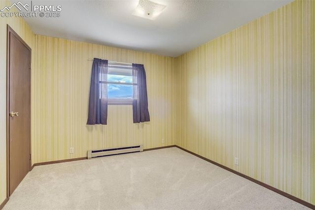 65 Yeoman Lane, Divide, CO 80814