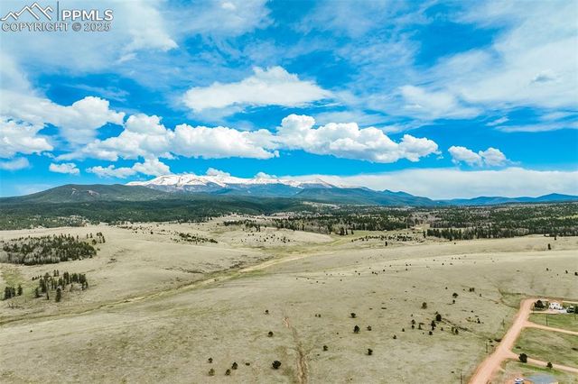 65 Yeoman Lane, Divide, CO 80814