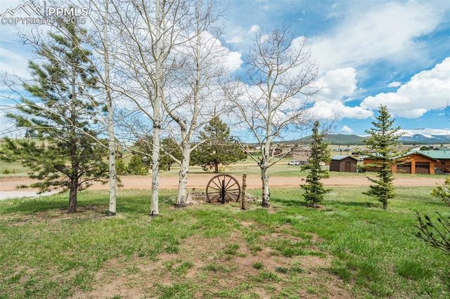 65 Yeoman Lane, Divide, CO 80814