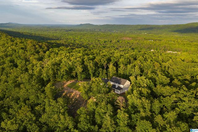 3589 SPRINGSTONE TRAIL, Leeds, AL 35094