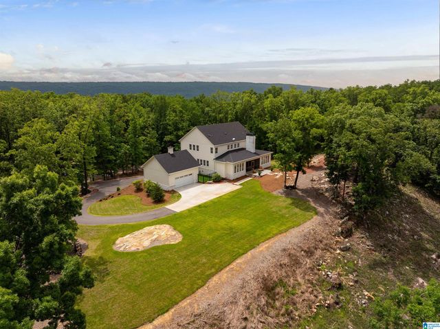 3589 SPRINGSTONE TRAIL, Leeds, AL 35094