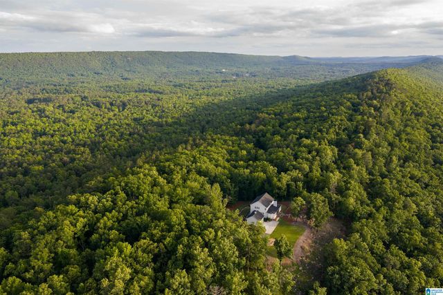 3589 SPRINGSTONE TRAIL, Leeds, AL 35094